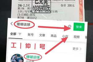  前锋如何利用数据分析改进比赛表现：从数据中挖掘胜利的关键